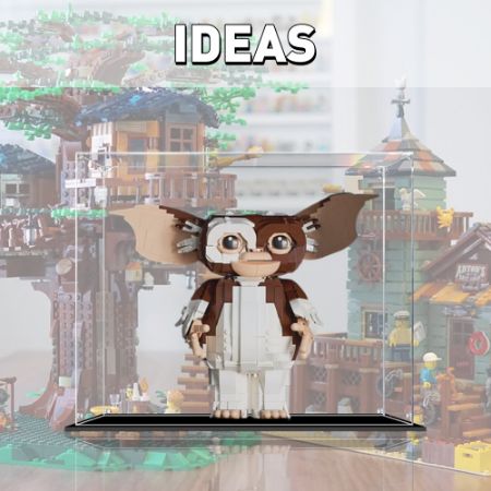 Display Case For Ideas